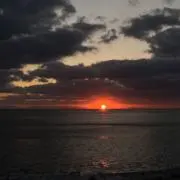 わーの画像
