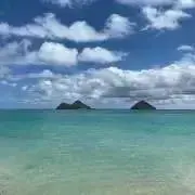 Kijiの画像