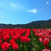 ｓｕｎｓｕｎ☆の画像