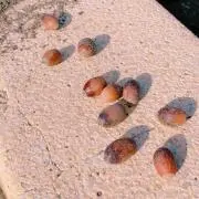 うーたんの画像