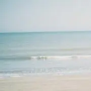 わにの画像