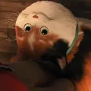 mochi