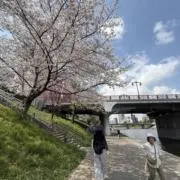 むぎ太郎の画像