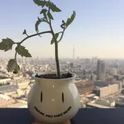 ShoTaの画像