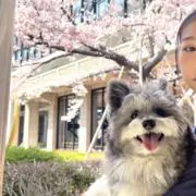 璃翔の画像