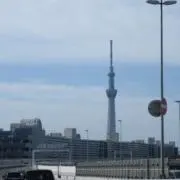 あおの画像
