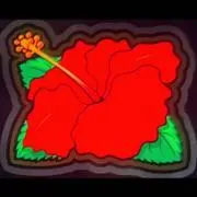 chyappyの画像