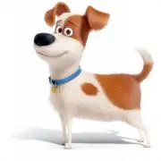 みんの画像