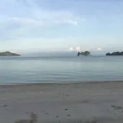 Tomoの画像