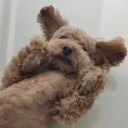 サニー