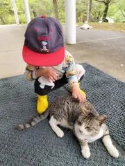 たむたむの画像