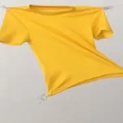 まの画像