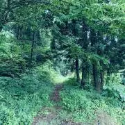 おたからの画像