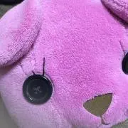 ピンクのくまの画像