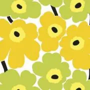 ゆず　まとめ売り可能です◎の画像