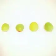 NanNaの画像