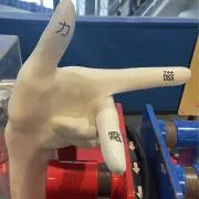 小指の画像