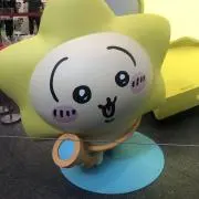 よーちゃんの画像
