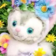 あやの