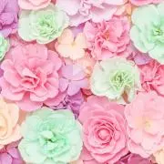 ほたまる