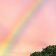 なないろの画像