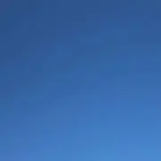 たぴの画像