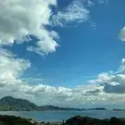 まめShop即購入OK♪の画像