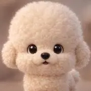 C★の画像