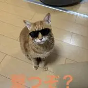 Ikedaの画像
