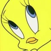 kayoの画像