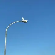 お疲れ爺