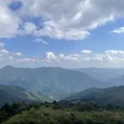 chako!の画像