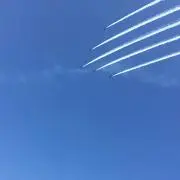 だーの画像