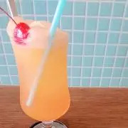 すの画像