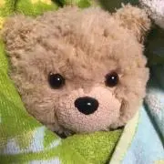 あんちゃんの画像