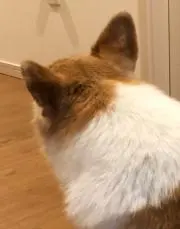 なぎさ