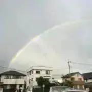 すずの画像