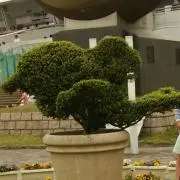 なおみんの画像
