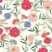 maruの画像