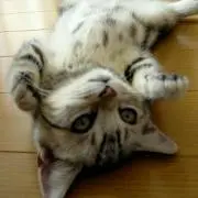 ★Milky★プロ必読♡の画像