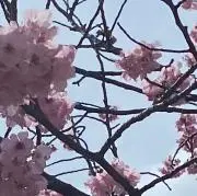 うづきの画像