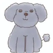 cocoの画像