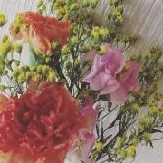 はなこ