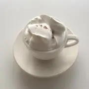 オニオンぽてーとの画像
