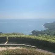 リクト