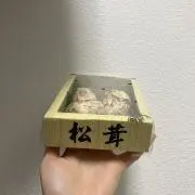 まつたけ