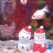 ♥エマ ♥まとめ割り致します♥の画像
