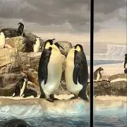 ☆MU☆の画像