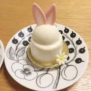 ナーフの画像