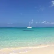 ココの画像